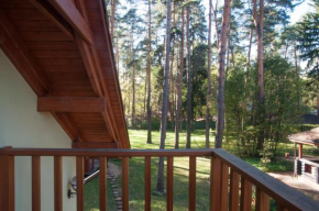 Vacation home in Sosnovy bor
